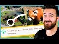 This zoo is a complete success, even has Red Pandas! (Part 3)