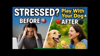 Find Peace with Paws: De-Stress Together