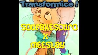 Transformice - Soufakescuro VS Meeslay