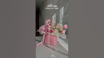 سورة النجم | 💗 Surah An-Najm – ﴿وَأَنْ لَيْسَ لِلْإِنسَانِ إِلَّا مَا سَعَى﴾ تلاوة عبد الرحمن مسعد