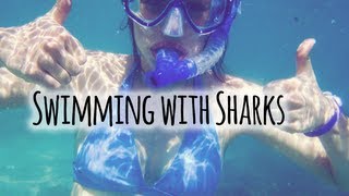 SWIMMING WITH SHARKS !! // Galapagos, Ecuador