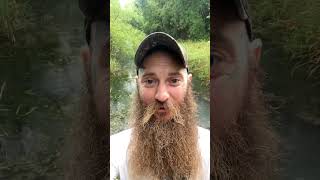 Cottonmouths Vs Water Moccasins?