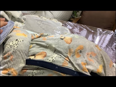 ライブShima’s(2026.3.3