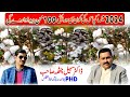 Which variety of cotton will yield up to 100 man in 2024  cotton best varieties in pakistan