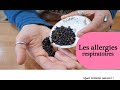 Les allergies respiratoires en herboristerie