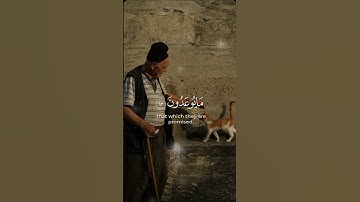 #قرآن #اكسبلور #استغفرالله #دويتو #قران #لايك #ارح قلبك #قران كريم #ترند #تيك_توك