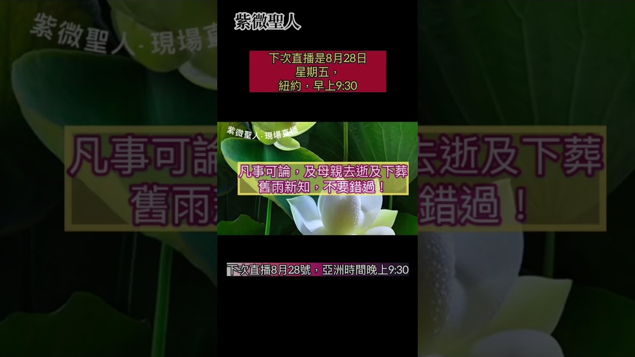 「紫微聖人」下次直播是8月28日星期五，紐約，早上9:30。凡事可論，及母親去逝及下葬過程。舊雨新知，不要錯過！ 縮圖