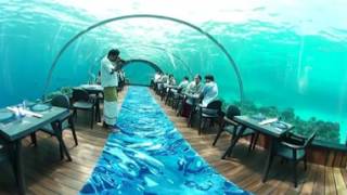 360 Video Hurawalhi Maldives Underwater Restaurant