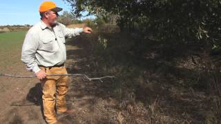 Deer Hunting 101: Making a mock scrape