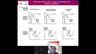 Singleron: advancing clinical interpretation from single cell sequencing datasets_2022 02 22 Net Worth