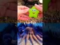 Sea Animal Names | Kids Learn by the Branch: Starfish Triggerfish Sea Lion Fish Lionfish