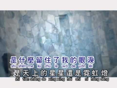 心痛的感觉 - 刘燕华
