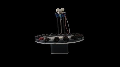 Testing blackberry firmness with Agrosta Wonderfast machine, results are amazing