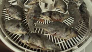 Сушеная и вяленая рыба в электросушилке Волтера -1000//Dried and cured fish