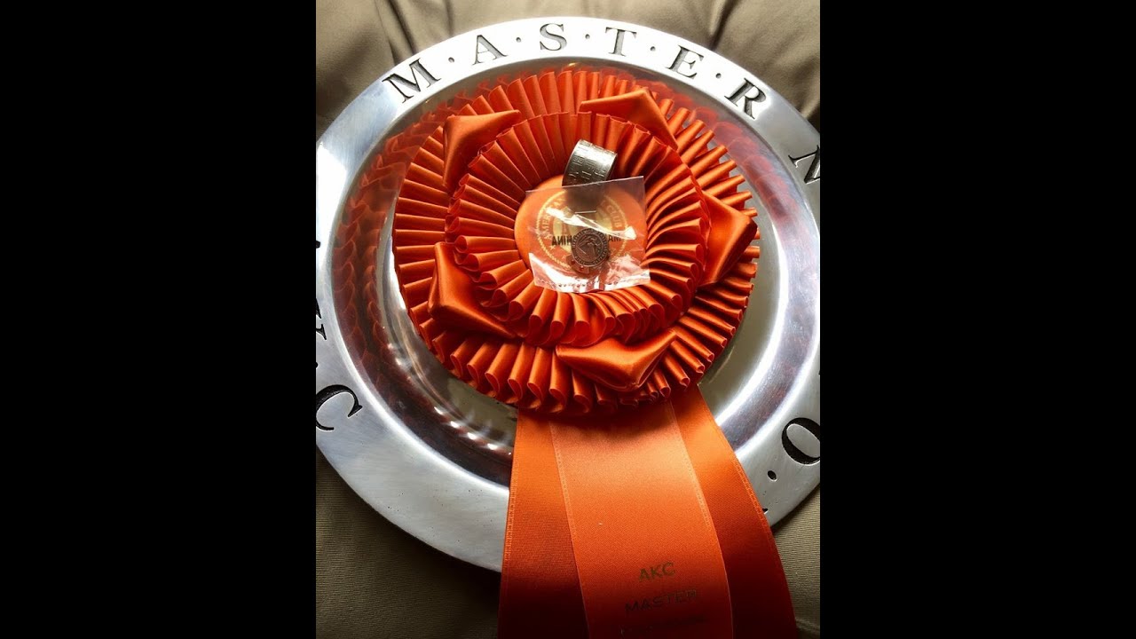 Master National Qualifier Video