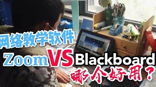 网络教学 Zoom VS Blackboard 哪个比较好用？