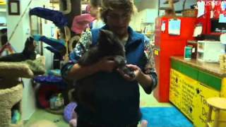 FFRCBoxes&Updates-10-13-11.flv