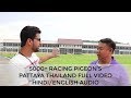 Racing pigeons in pattaya thailand full englishhindi audio  one loft race pattaya