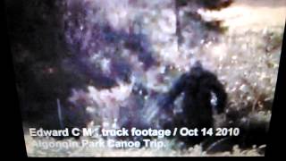 EDWARD CM TRUCK FOOTAGE. BIGFOOT FACT/FAKE ? You decide. (34)