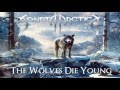 Sonata Arctica - Pariah's Child (Full Album) (Melodic Power Metal)