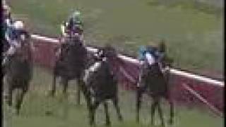 1988 Breeders' Cup Mile