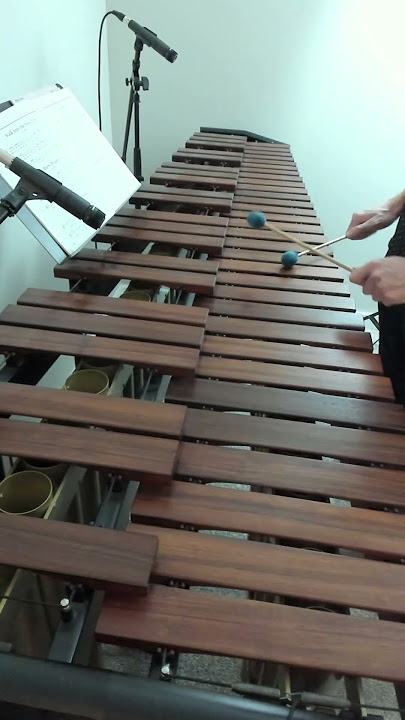 Burn Bright #marimba #music