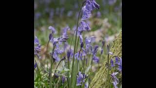 Good morning from Trishaworld 843!