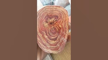 lõi sưa 20 năm tuổi