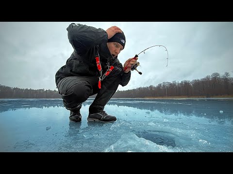 We have NEVER caught anything like this while ice fishing!