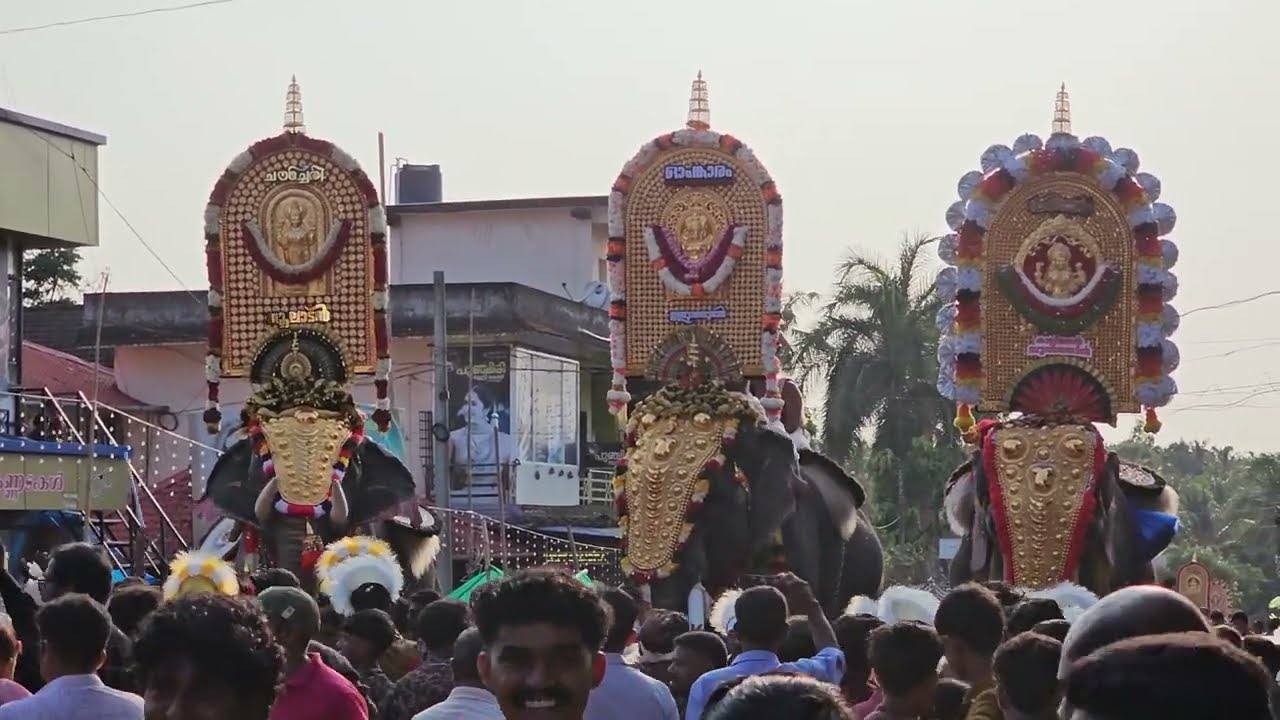 നൂലാടുമേൽ ഒന്ന് set ആയി വന്നത് ആർന്നു | വെറുതെ ആയി | Chalissery pooram 2026