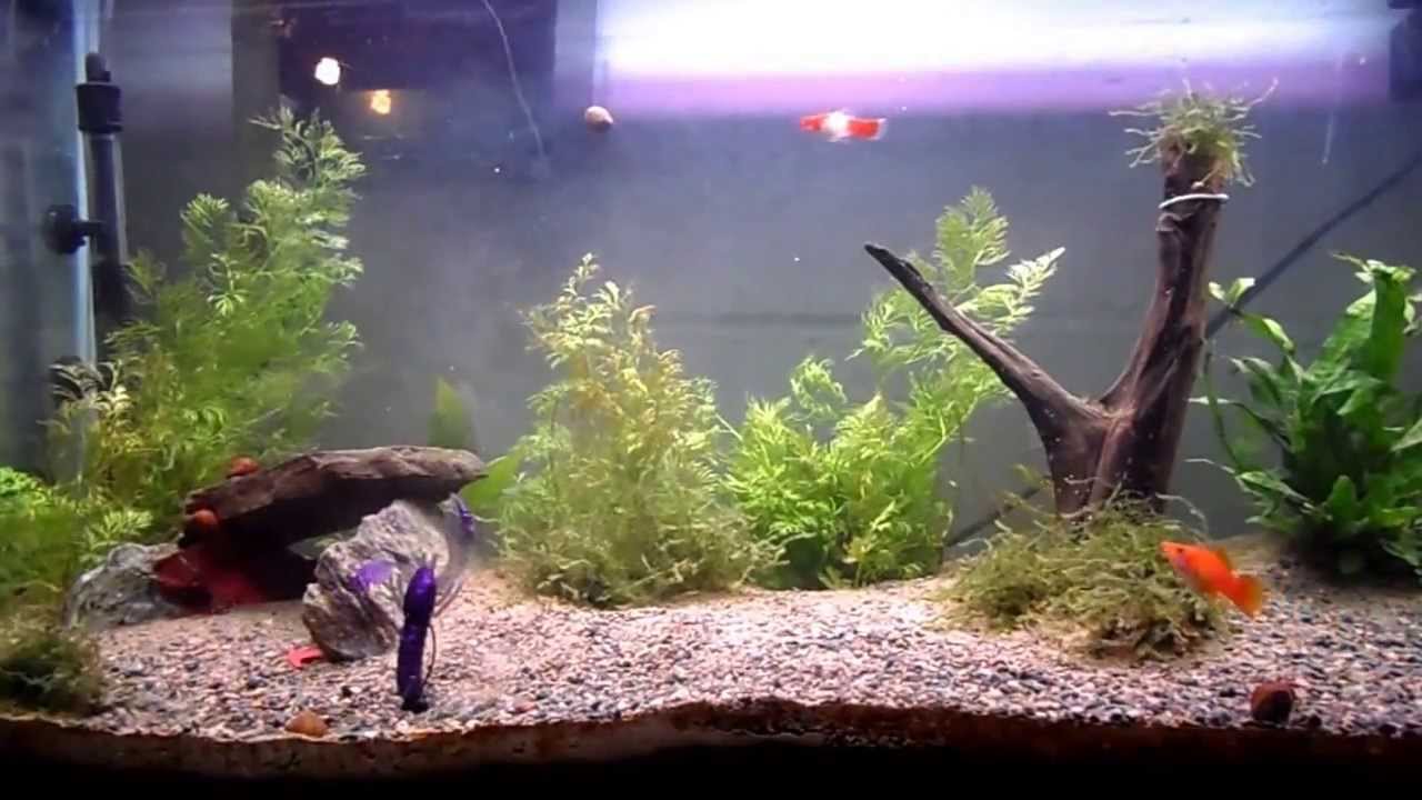 412BaitCo 3.75" SmallJaw Craw YouTube