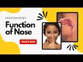 "Exploring the Marvels of the Nose: Functions and Importance Unveiled"