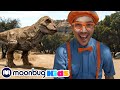 Blippi visits T-Rex Ranch! DINOSAURS! | BLIPPI EXPLORES! | Educational Videos for Toddlers