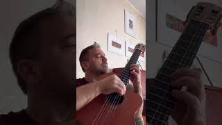 Piedone Lo Sbirro - La Colonna Sonora - Guitar Cover 🎸