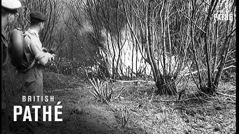 Sappers Clear Old Minefield  (1956)