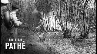 Sappers Clear Old Minefield  (1956)