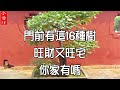 【樹木風水】門前有這16種樹,旺財又旺宅,你家有嗎?