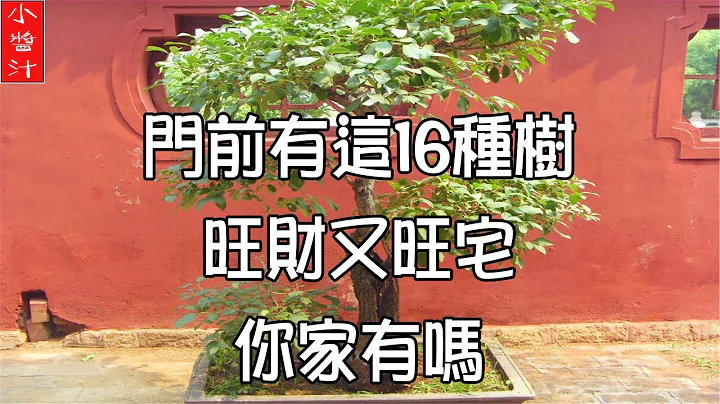 【树木风水】门前有这16种树，旺财又旺宅，你家有吗？ - 天天要闻