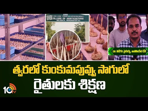 త్వరలో కుంకుమపువ్వు సాగులో రైతులకు శిక్షణ | Training On Saffron Flower Harvest | 10TV News - 10TVNEWSTELUGU