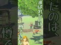 【ブレワイ】奇行種ボコブリン