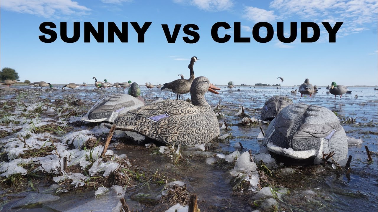 This is The Best Weather for Duck Hunting! PLUS MY BIG REVEAL!!! YouTube