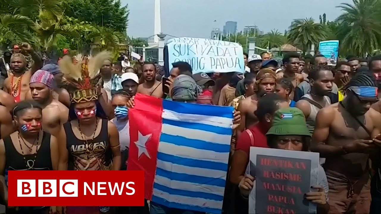 Indonesia cuts off internet to Papua following protests - BBC News