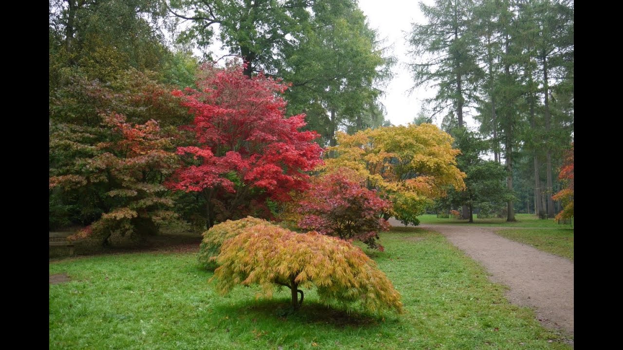 WESTONBIRT,THE NATIONAL ARBORETUM ENGLAND,
