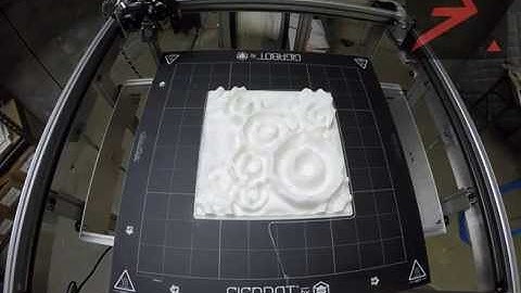 Acoustics First - Model D Print