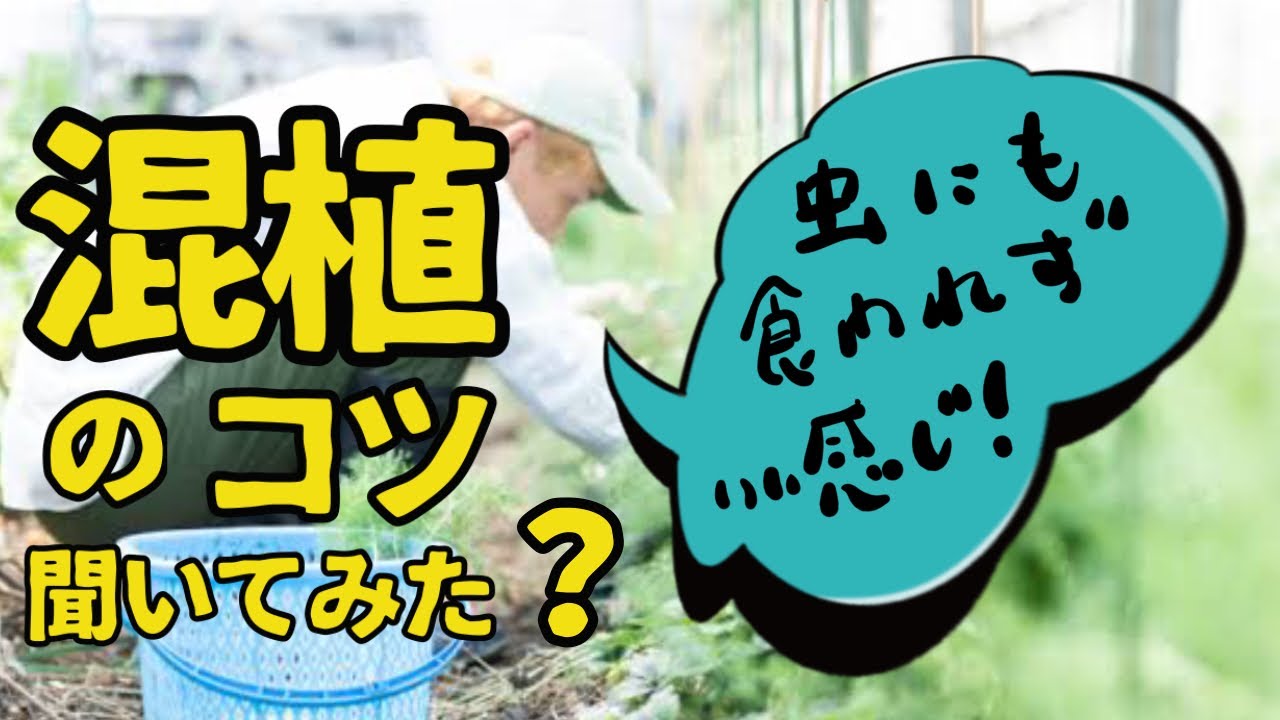 file04 混植？定植？密植？混植のコツについてお話しします。