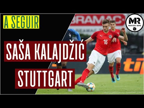 SASA KALAJDZIC | ADMIRA WACKER | Goals, Assists & Skills