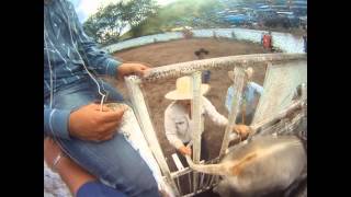 dia de campo 2014