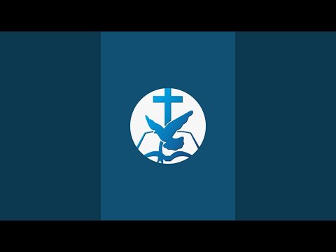 Previzualizare video