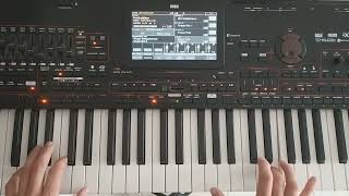 New Italo Modern Martina Style (Instrumental Keyboard Korg Pa4X & Danekoo1)