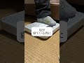 朝の始まり小さな格闘